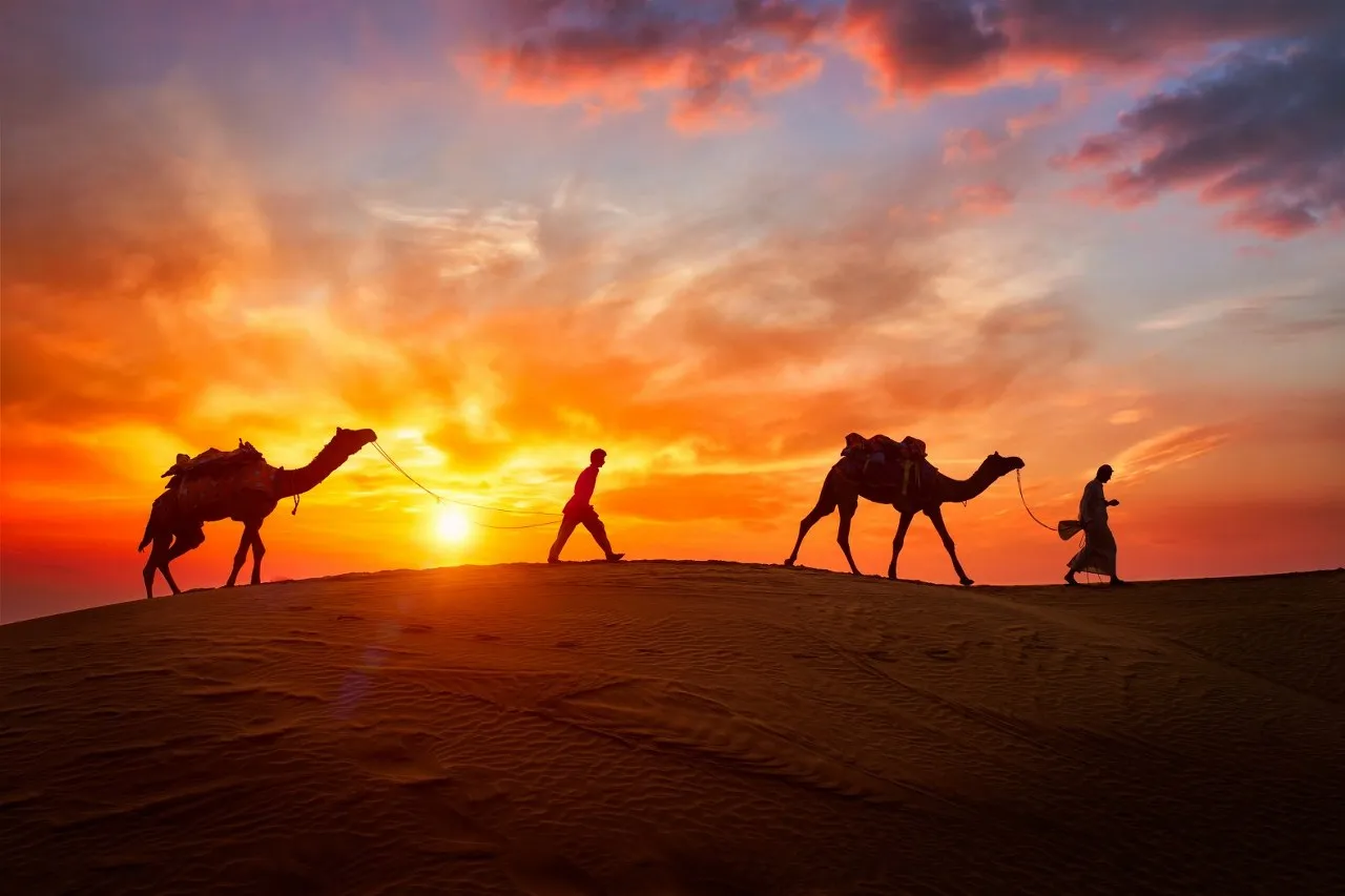 Jaisalmer desert camp deals at Sam Sand Dunes