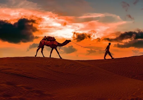 desert camp packages