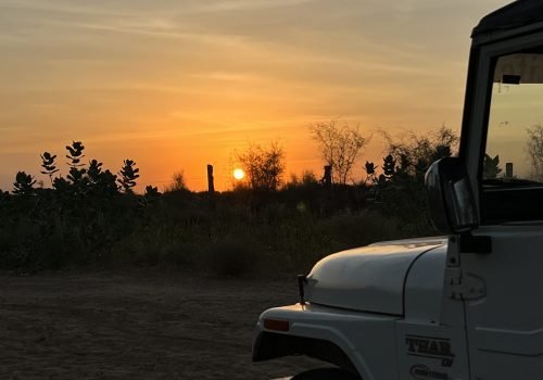 Jeep Safari in jaisalmer