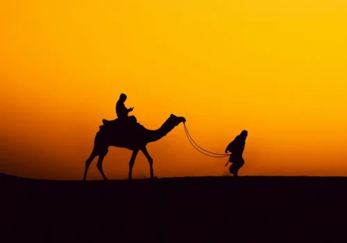 camel safari in jaisalmer